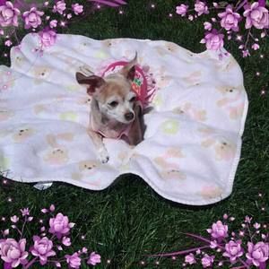 Meet your Posher, Tammy